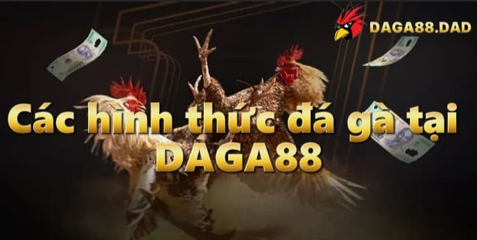 cac-hinh-thuc-da-ga-tai-daga88