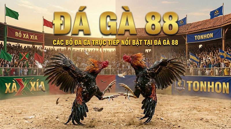 đá gà trực tiếp