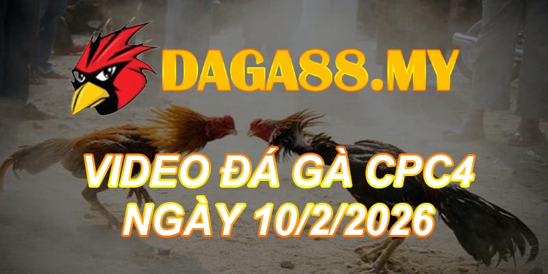 VIDEO GÀ CPC4 NGÀY 10/2/2026