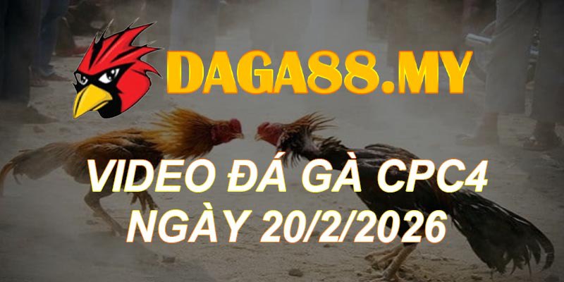 VIDEO GÀ CPC4 NGÀY 20/2/2026