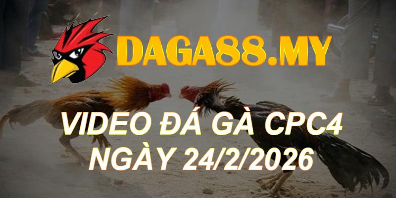 VIDEO GÀ CPC4 NGÀY 24/2/2026