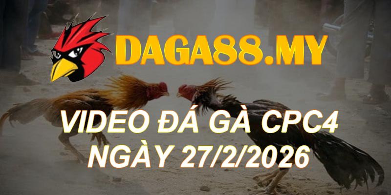 VIDEO GÀ CPC4 NGÀY 27/2/2026