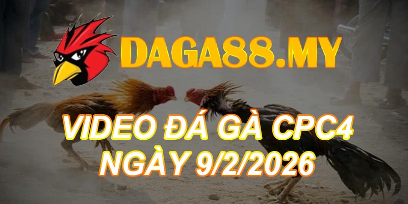 VIDEO GÀ CPC4 NGÀY 9/2/2026