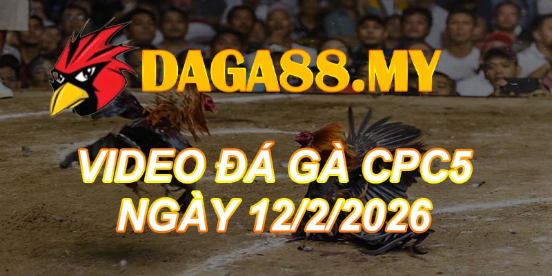 VIDEO GÀ CPC5 NGÀY 12/2/2026