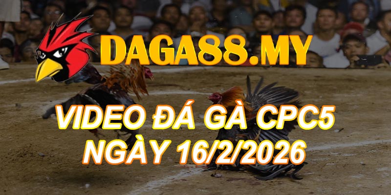 VIDEO GÀ CPC5 NGÀY 16/2/2026