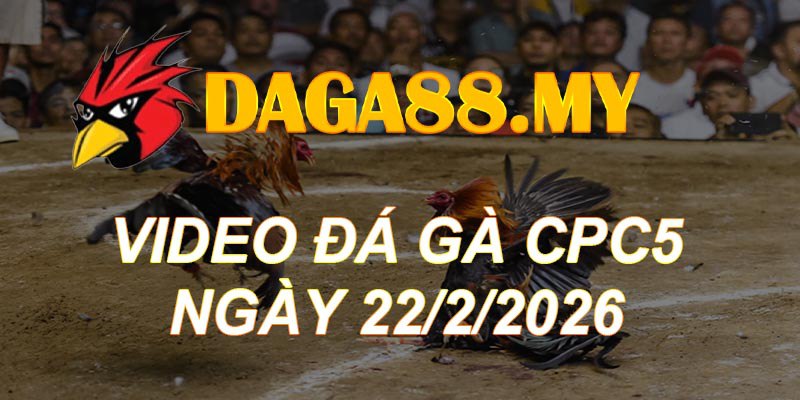 VIDEO GÀ CPC5 NGÀY 22/2/2026