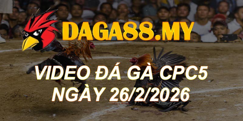 VIDEO GÀ CPC5 NGÀY 26/2/2026