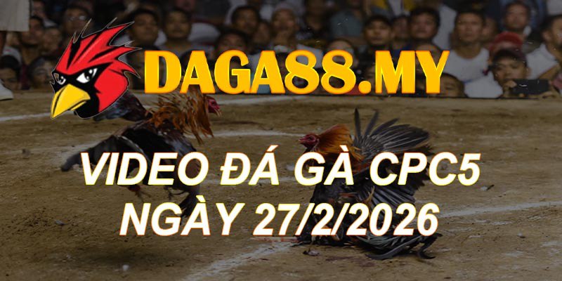 VIDEO GÀ CPC5 NGÀY 27/2/2026