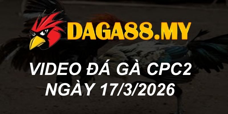 VIDEO GÀ CPC2 NGÀY 17/3/2026