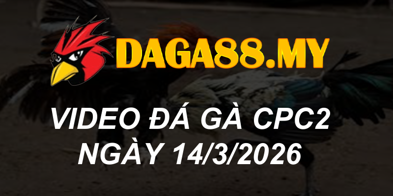 VIDEO GÀ CPC2 NGÀY 14/3/2026