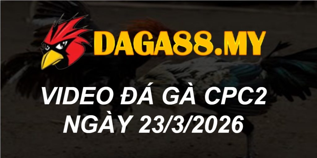 VIDEO GÀ CPC2 NGÀY 23/3/2026