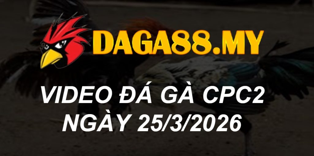 VIDEO GÀ CPC2 NGÀY 25/3/2026