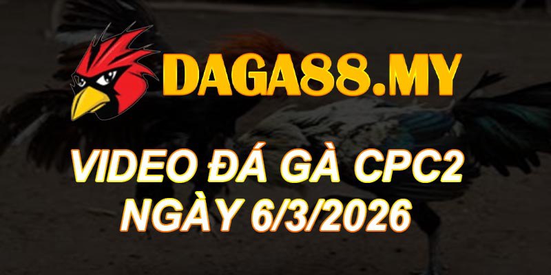 VIDEO GÀ CPC2 NGÀY 6/3/2026