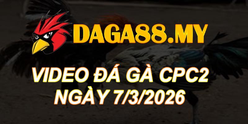 VIDEO GÀ CPC2 NGÀY 7/3/2026