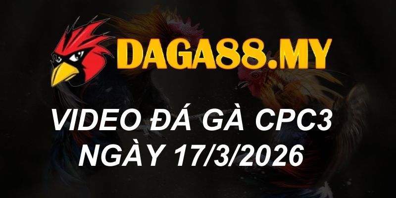 VIDEO GÀ CPC3 NGÀY 17/3/2026