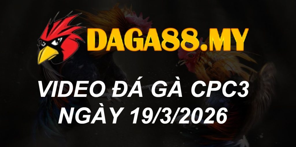 VIDEO GÀ CPC3 NGÀY 19/3/2026
