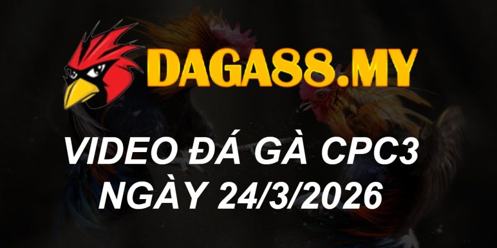 VIDEO GÀ CPC3 NGÀY 24/3/2026