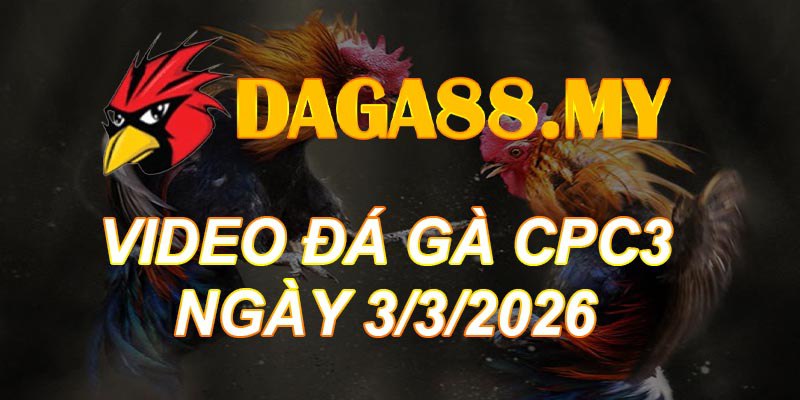 VIDEO GÀ CPC3 NGÀY 3/3/2026
