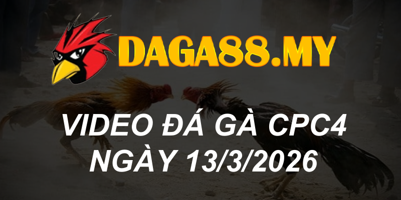 VIDEO GÀ CPC4 NGÀY 13/3/2026
