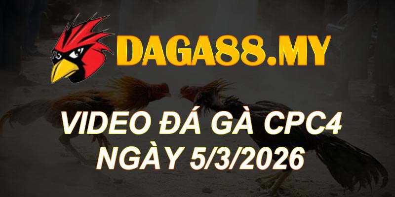 VIDEO GÀ CPC4 NGÀY 5/3/2026