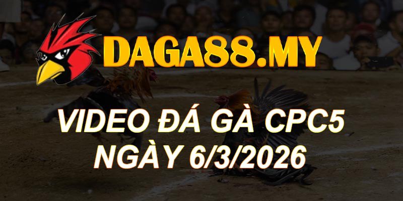 VIDEO GÀ CPC5 NGÀY 6/3/2026