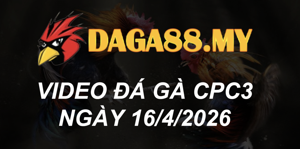 VIDEO GÀ CPC3 NGÀY 16/4/2026