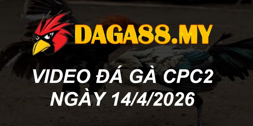 VIDEO GÀ CPC2 NGÀY 14/4/2026