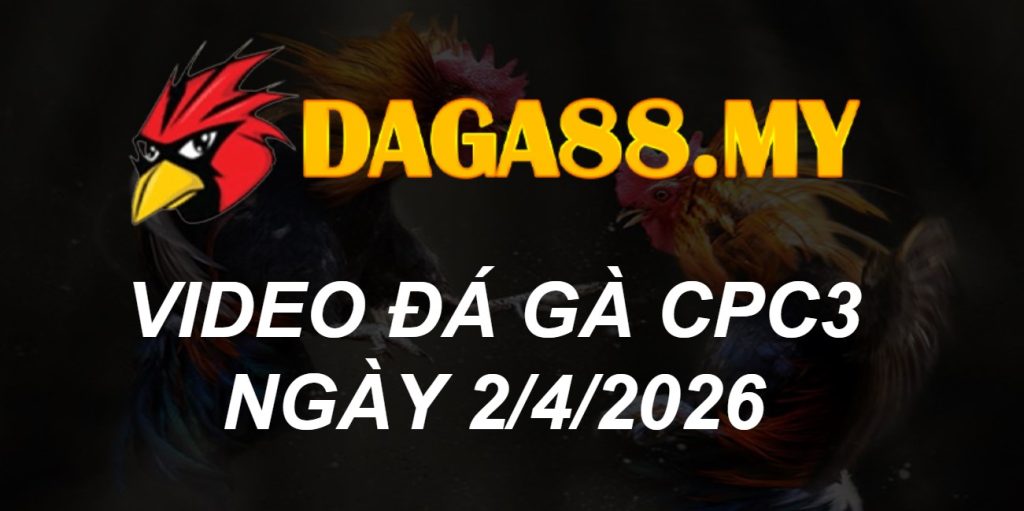 VIDEO GÀ CPC3 NGÀY 2/4/2026