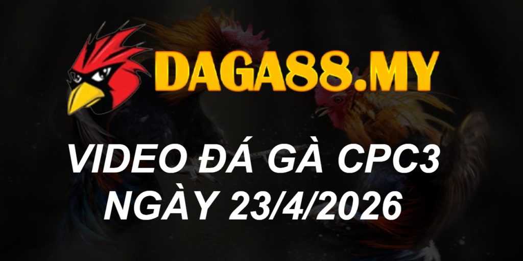 Video gà Video CPC3 ngày 23/04/2026
